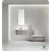 Fresca 52 inch Wall Mount High Gloss Modern Bathroom Vanity with Mirror and Faucet Ash Gray - B00Q46XY20